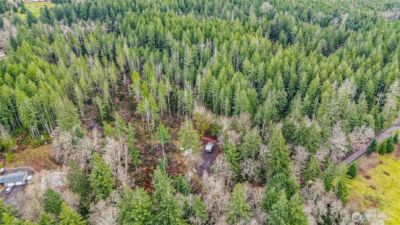 12815 154th Avenue NW, Gig Harbor, WA 98329 - Photo 19