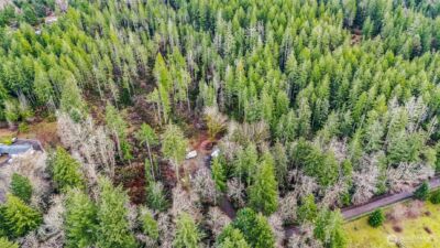 12815 154th Avenue NW, Gig Harbor, WA 98329 - Photo 20