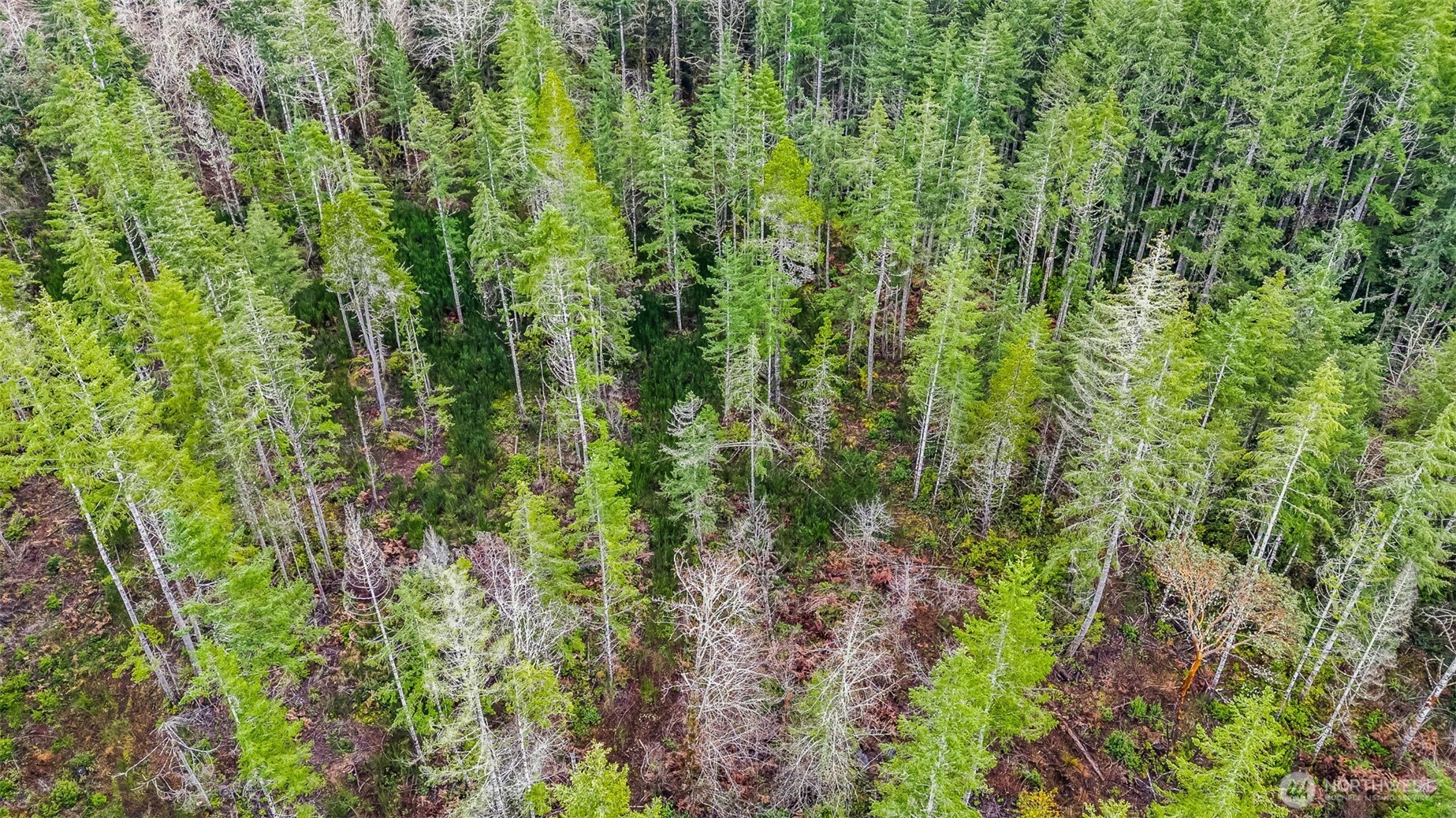 12815 154th Avenue NW, Gig Harbor, WA 98329