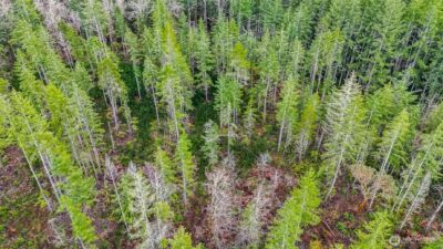 12815 154th Avenue NW, Gig Harbor, WA 98329 - Photo 29