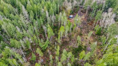 12815 154th Avenue NW, Gig Harbor, WA 98329 - Photo 31