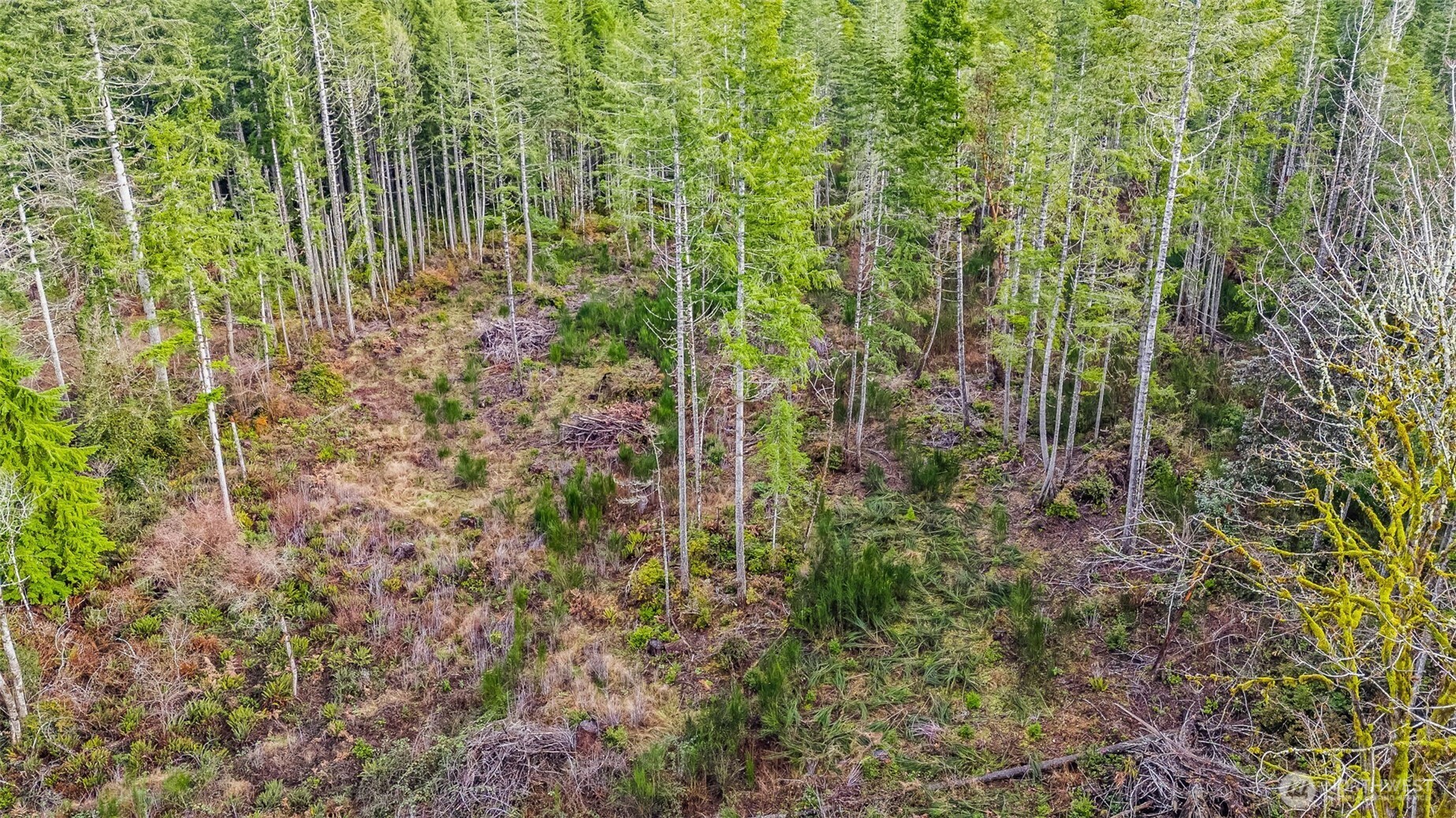 12815 154th Avenue NW, Gig Harbor, WA 98329