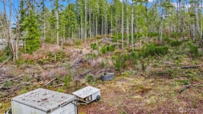 12815 154th Avenue NW, Gig Harbor, WA 98329 - Photo 10