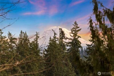 16449 SE 264th Street , Covington, WA 98042-8388 - Photo 36