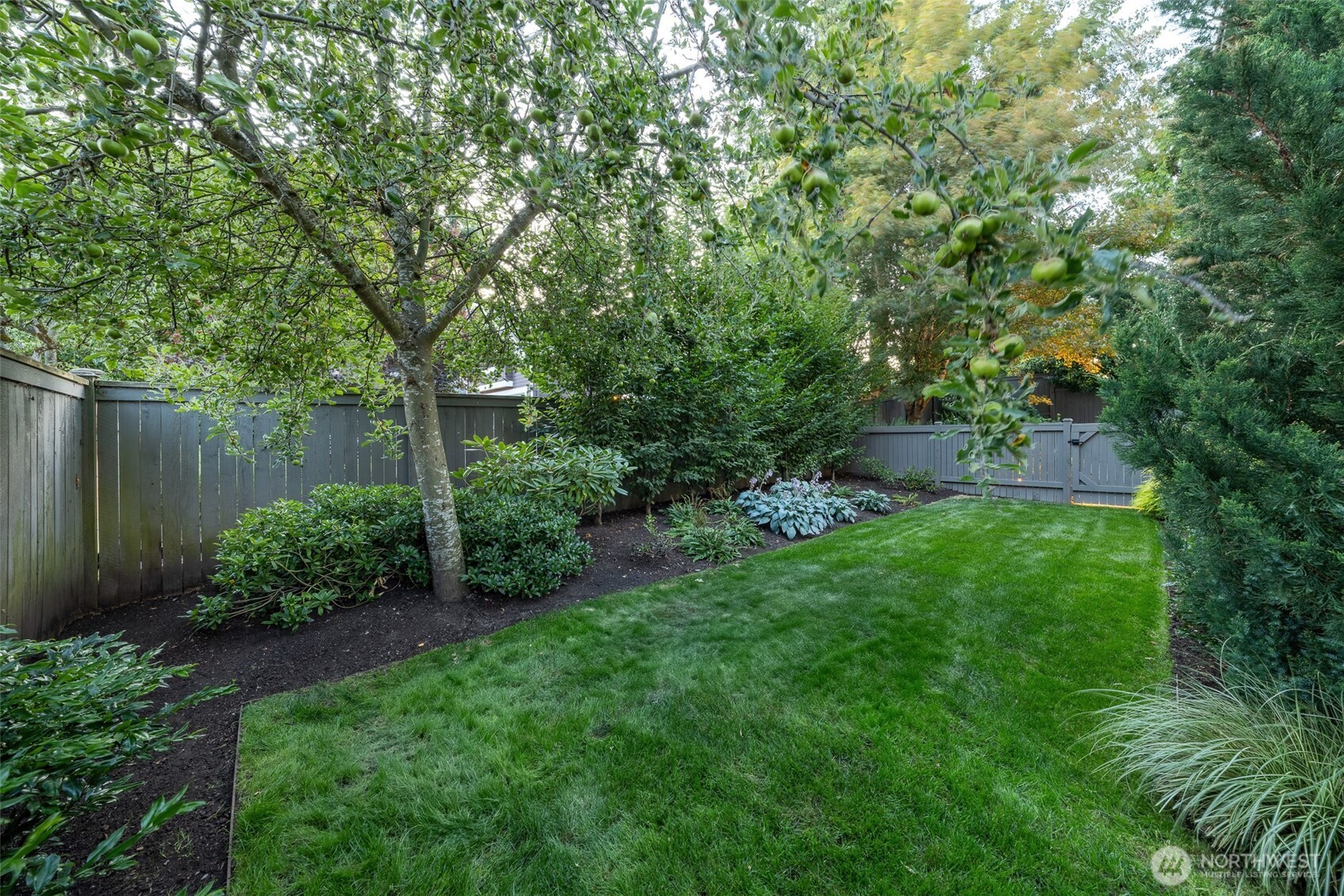 719 99th Avenue NE, Bellevue, WA 98004