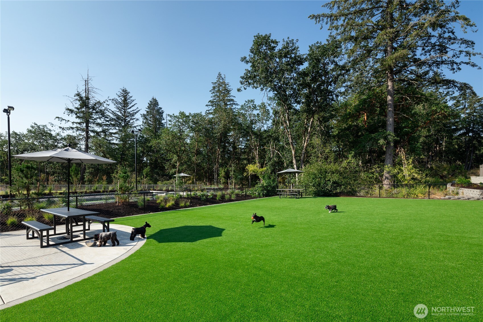 2945 Balsamroot Drive SE, Lacey, WA 98513