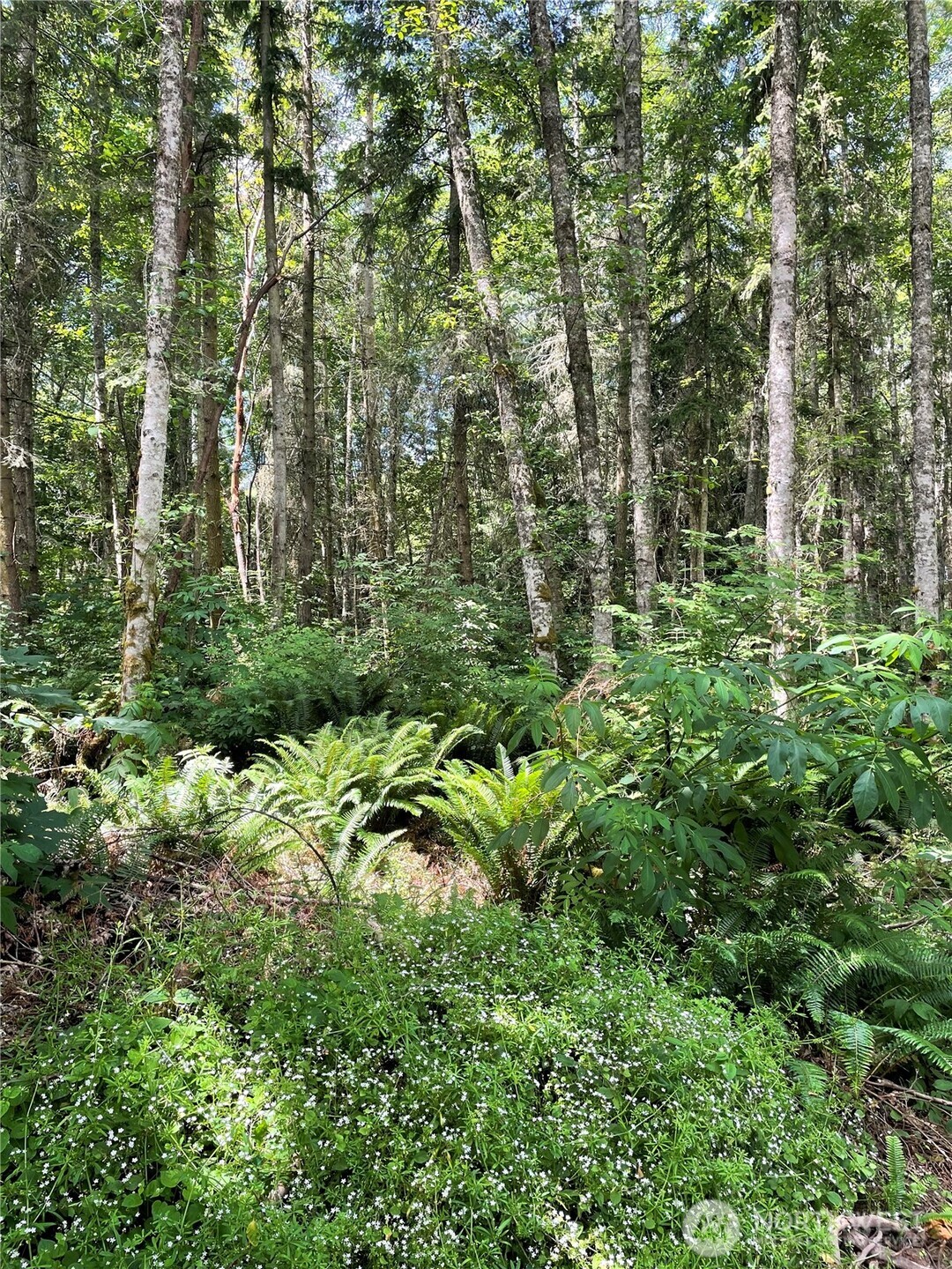 176 Lot 2 Louisa Street , Port Townsend, WA 98368