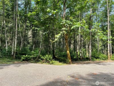 176 Lot 2 Louisa Street , Port Townsend, WA 98368 - Photo 5