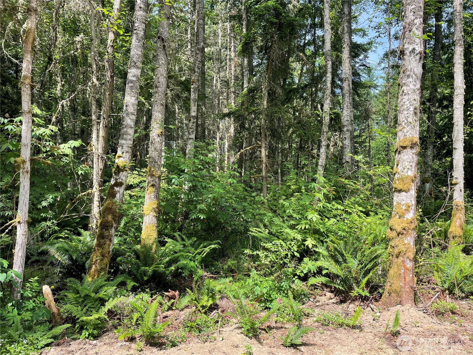 176 Lot 2 Louisa Street , Port Townsend, WA 98368