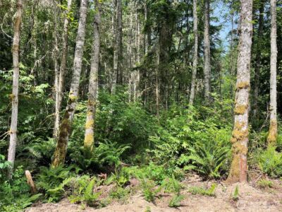 176 Lot 2 Louisa Street , Port Townsend, WA 98368 - Photo 6