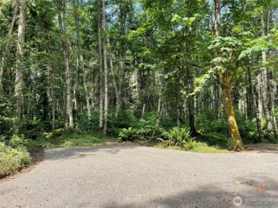 176 Lot 2 Louisa Street , Port Townsend, WA 98368 - Photo 8