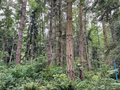 176 Lot 2 Louisa Street , Port Townsend, WA 98368 - Photo 10