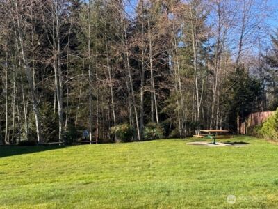 27708 NE 146th Way , Duvall, WA 98019 - Photo 29