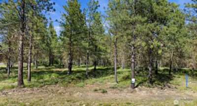 46 Southern Star Lane , Cle Elum, WA 98922 - Photo 3