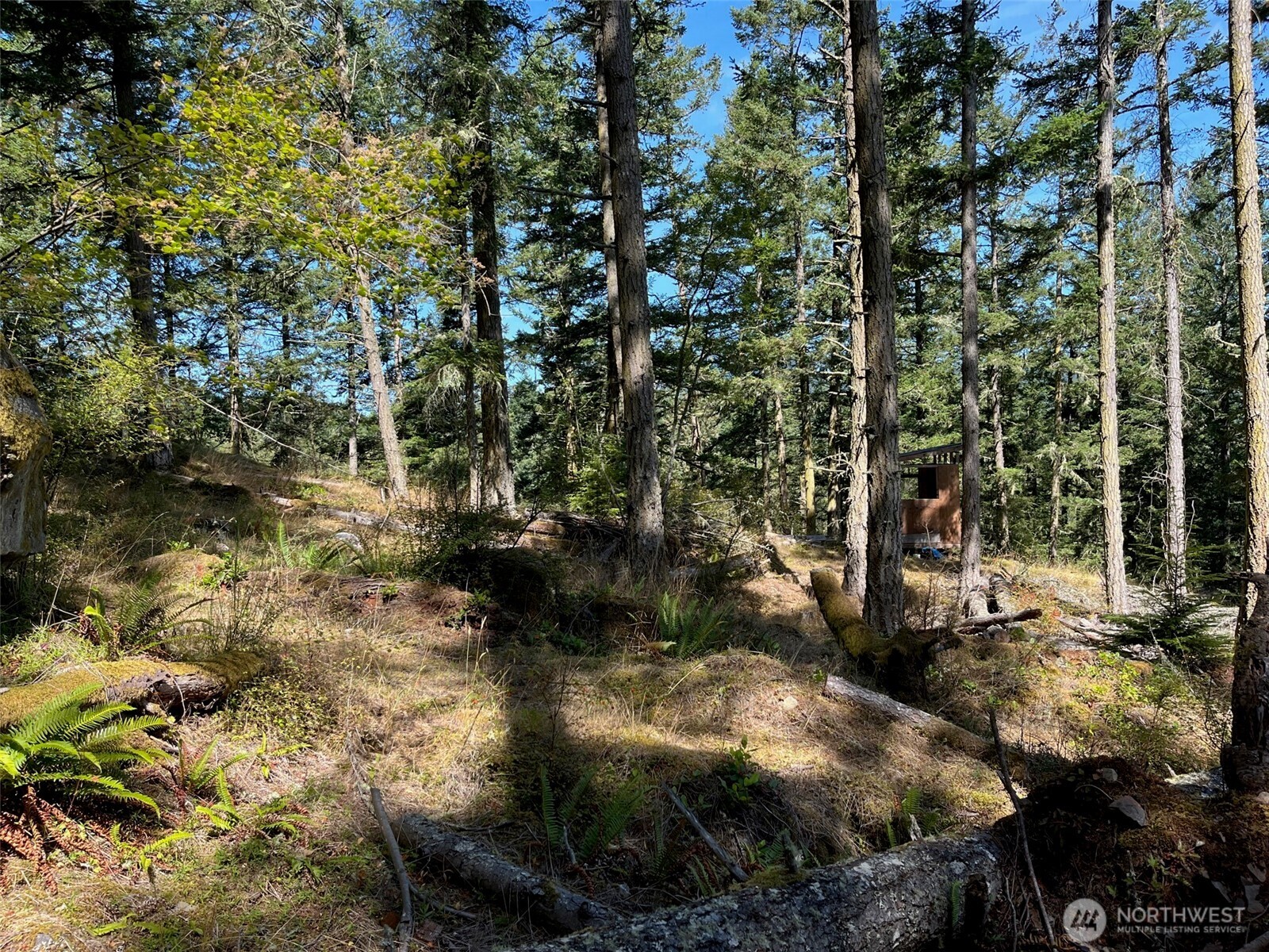 1407 Obstruction Pass Road , Orcas Island, WA 98245