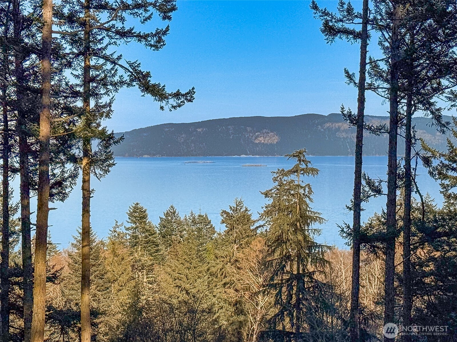 1407 Obstruction Pass Road , Orcas Island, WA 98245