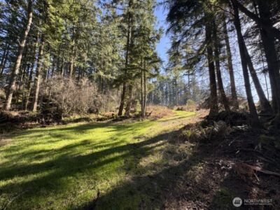 1407 Obstruction Pass Road , Orcas Island, WA 98245 - Photo 9