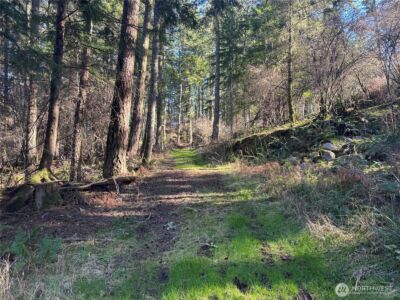 1407 Obstruction Pass Road , Orcas Island, WA 98245 - Photo 10