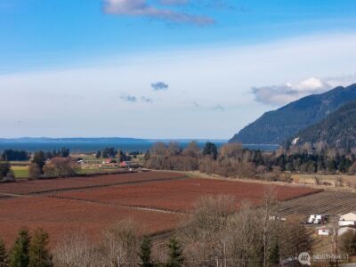 16021 Colony Road , Burlington, WA 98232 - Photo 4