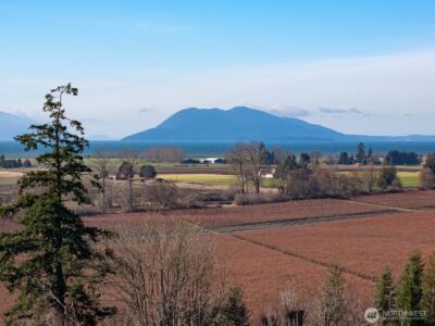 16021 Colony Road , Burlington, WA 98232 - Photo 5