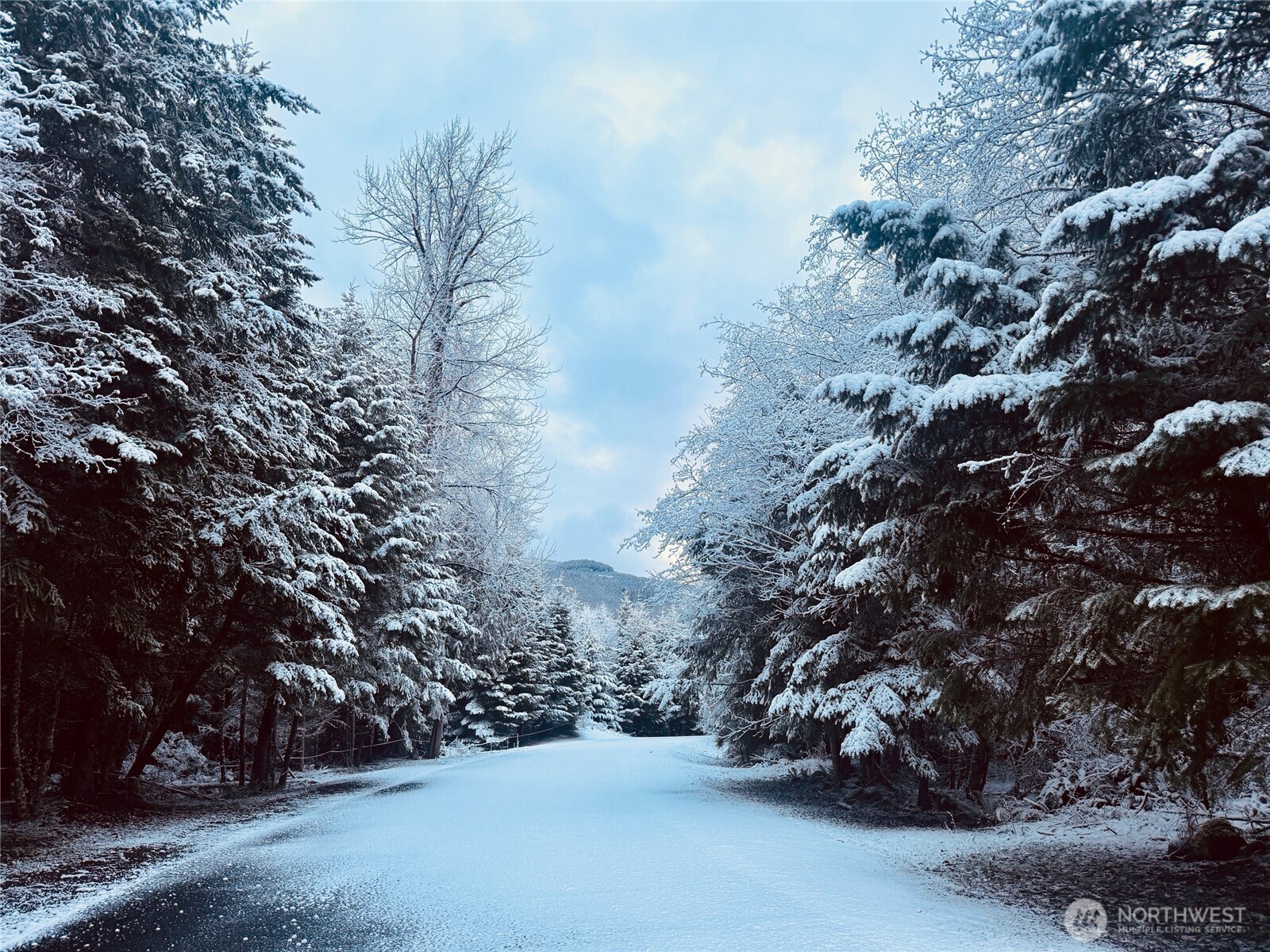 12064 Elk Trails Drive E, Greenwater, WA 98022