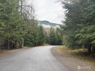 12064 Elk Trails Drive E, Greenwater, WA 98022 - Photo 4
