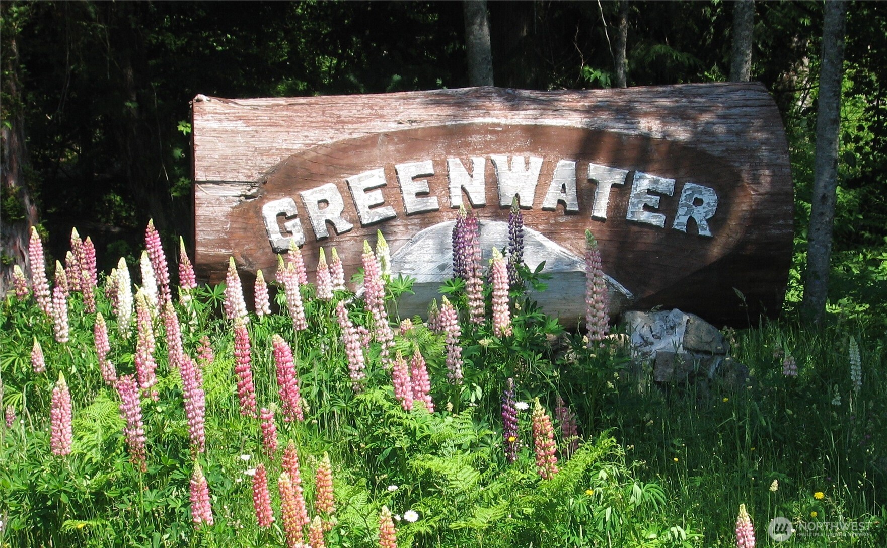 12064 Elk Trails Drive E, Greenwater, WA 98022