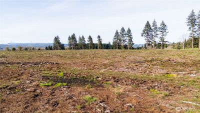 114 Beckett Lane , Chehalis, WA 98532 - Photo 23