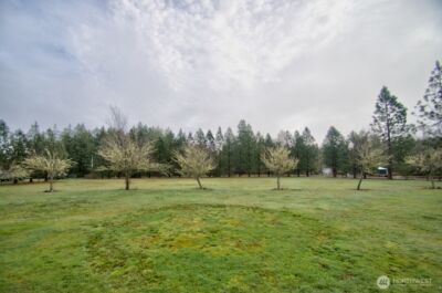 164 Beville Road , Boistfort, WA 98532 - Photo 32