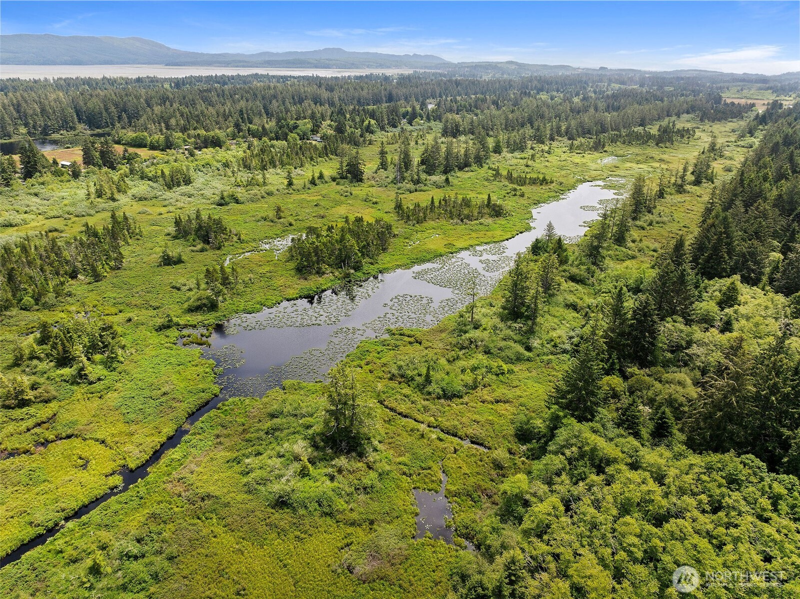 15308 Pacific Way , Long Beach, WA 98631