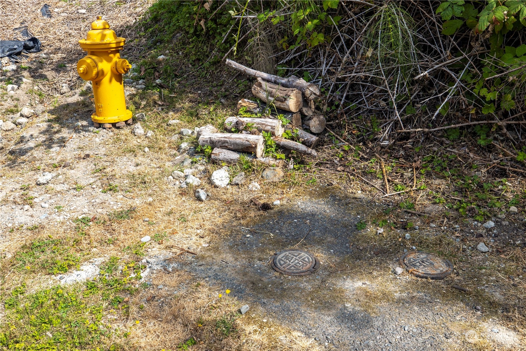 78 XX 111th Place SE, Newcastle, WA 98056