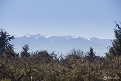 41 Victoria View Street , Sequim, WA 98382 - Photo 29