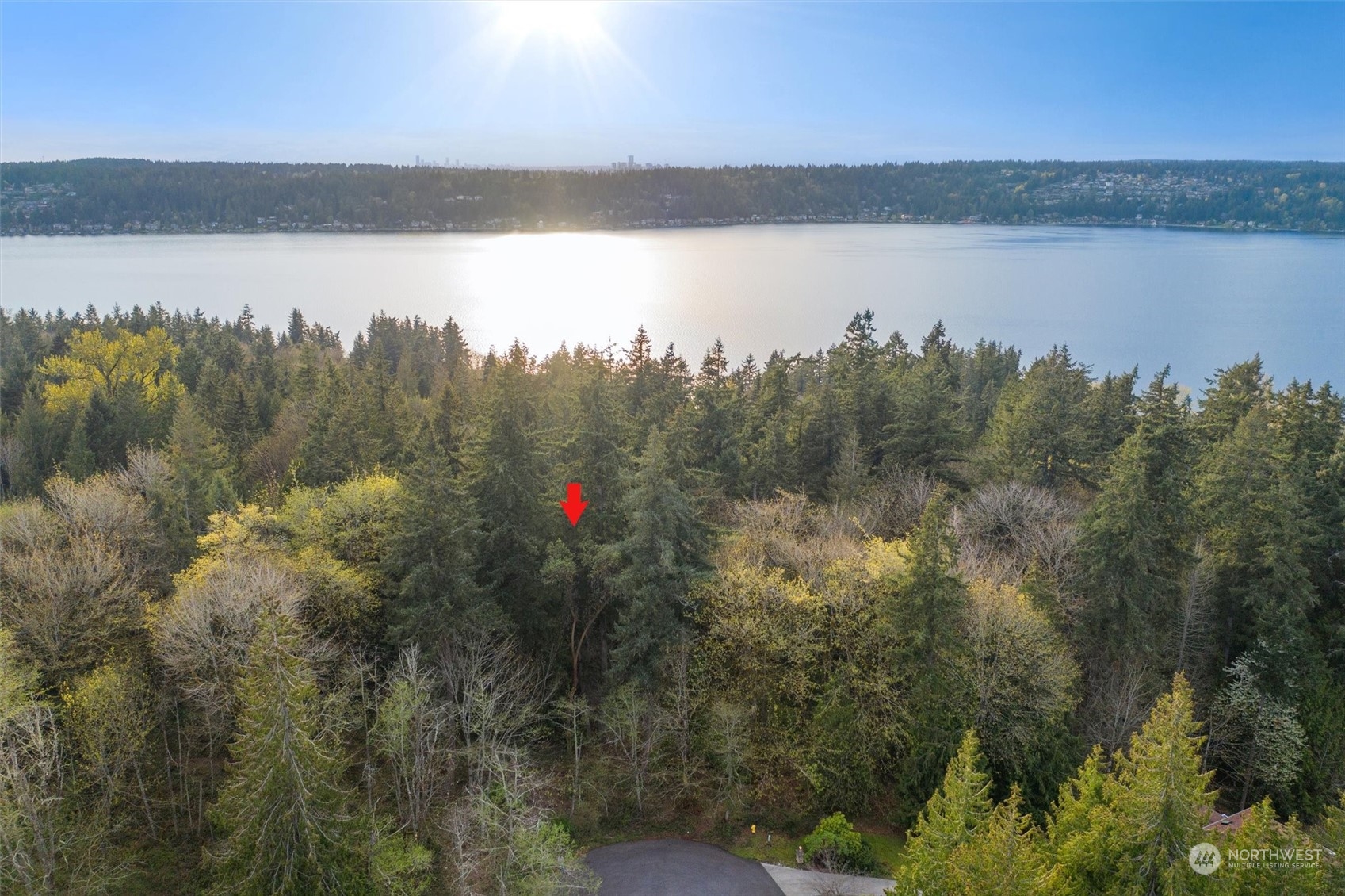 19700 SE 17th Street , Sammamish, WA 98075