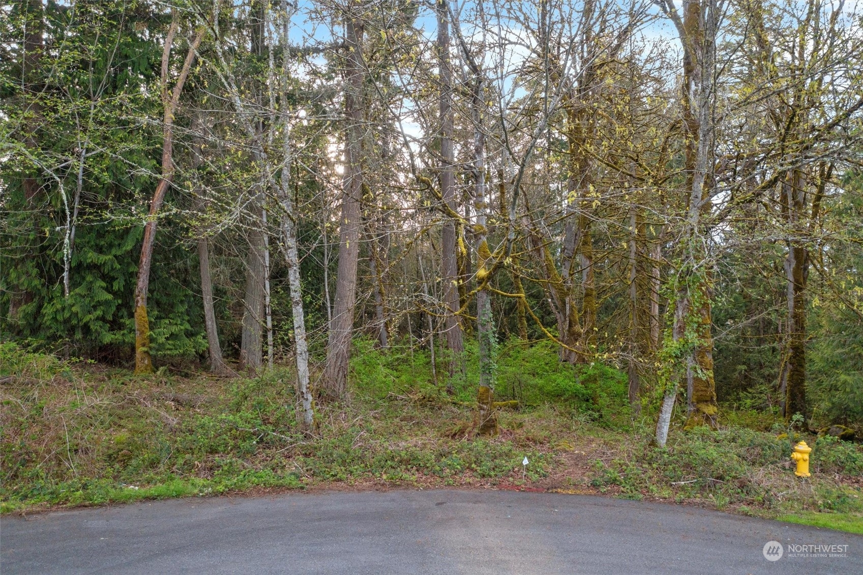 19700 SE 17th Street , Sammamish, WA 98075