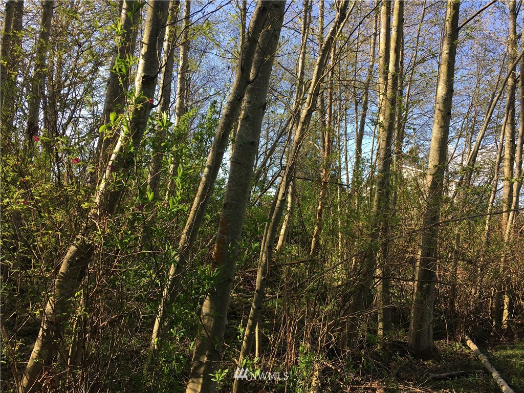 3800 West 3rd Street , Anacortes, WA 98221