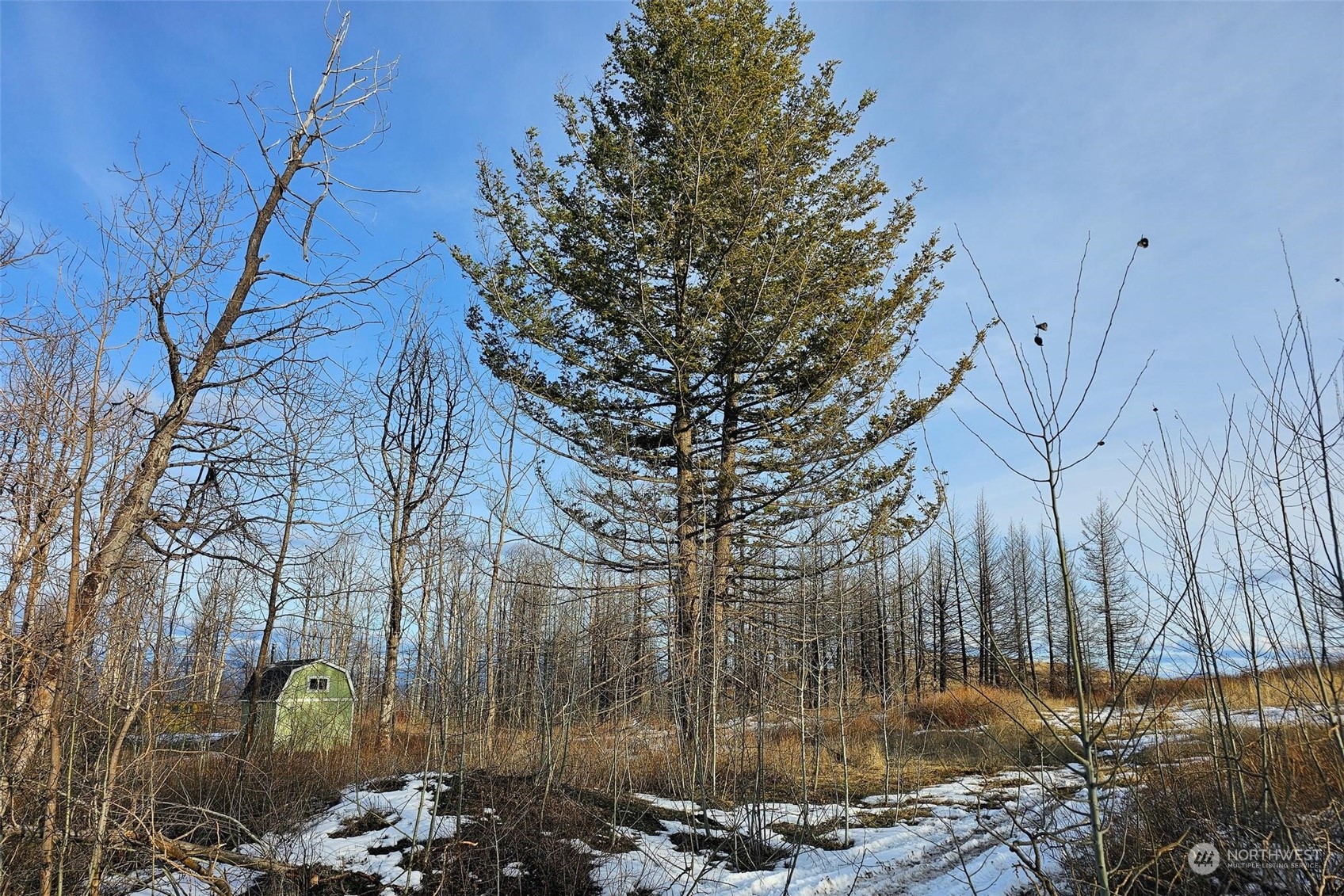 38 Light Road , Oroville, WA 98844