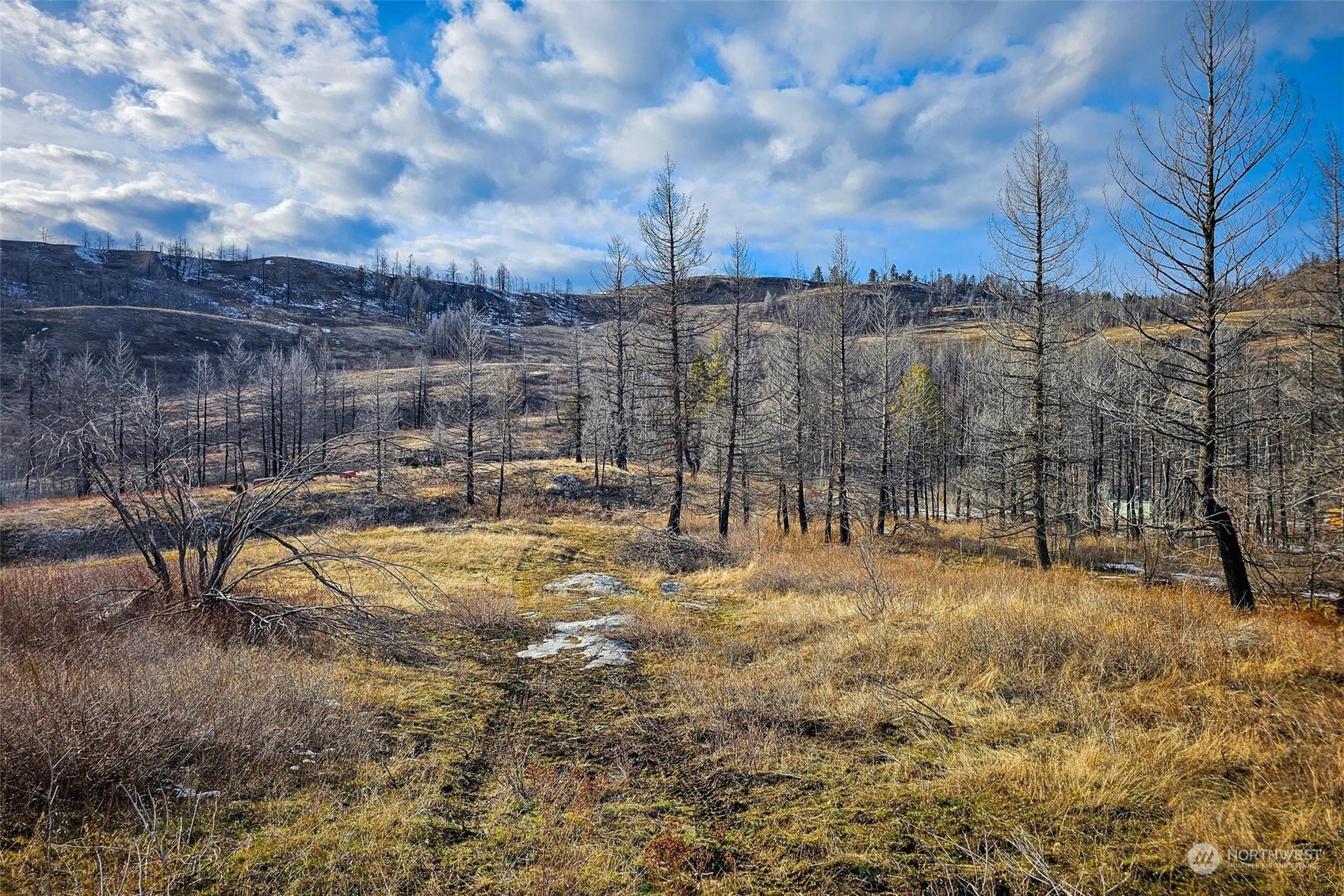 38 Light Road , Oroville, WA 98844