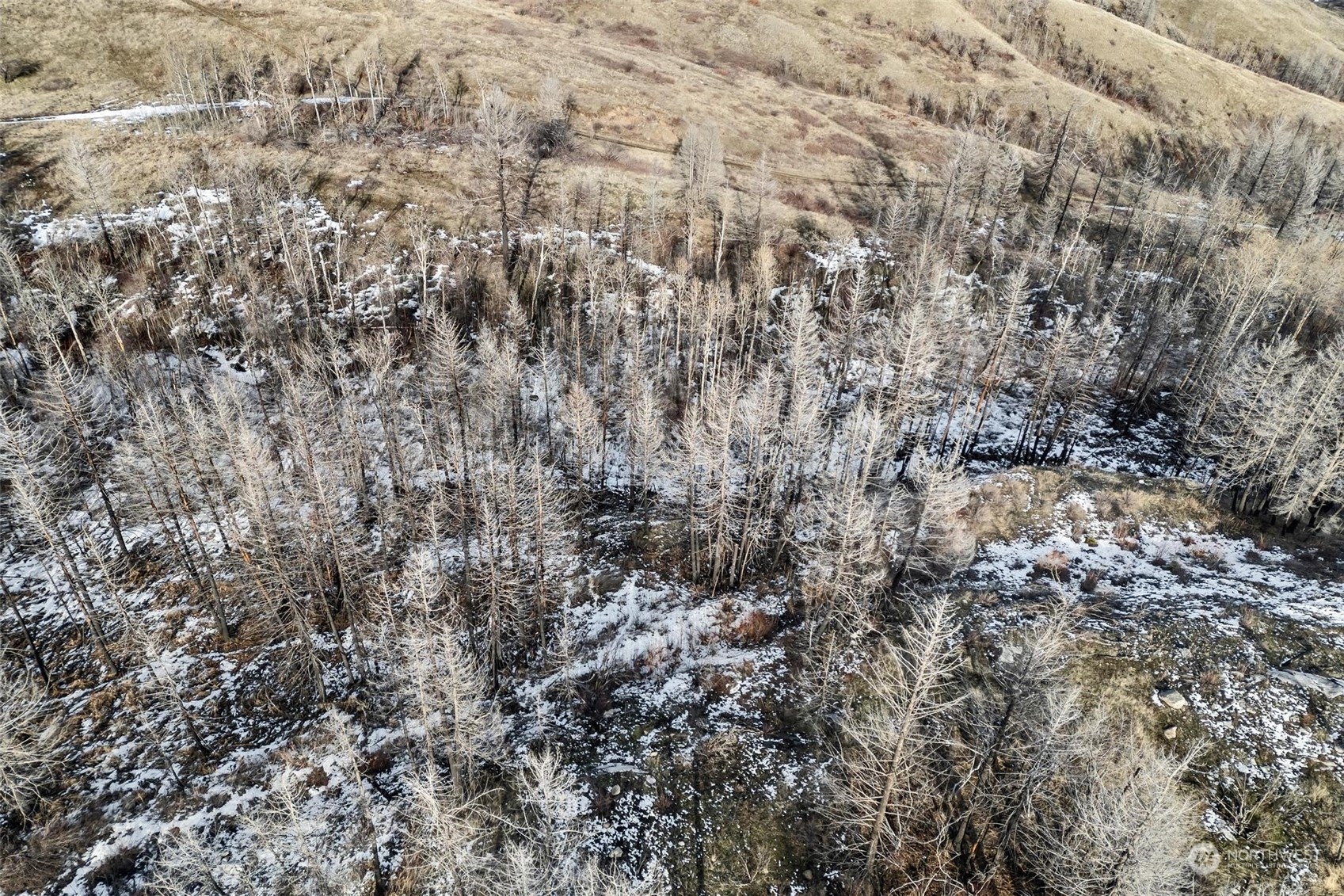 38 Light Road , Oroville, WA 98844