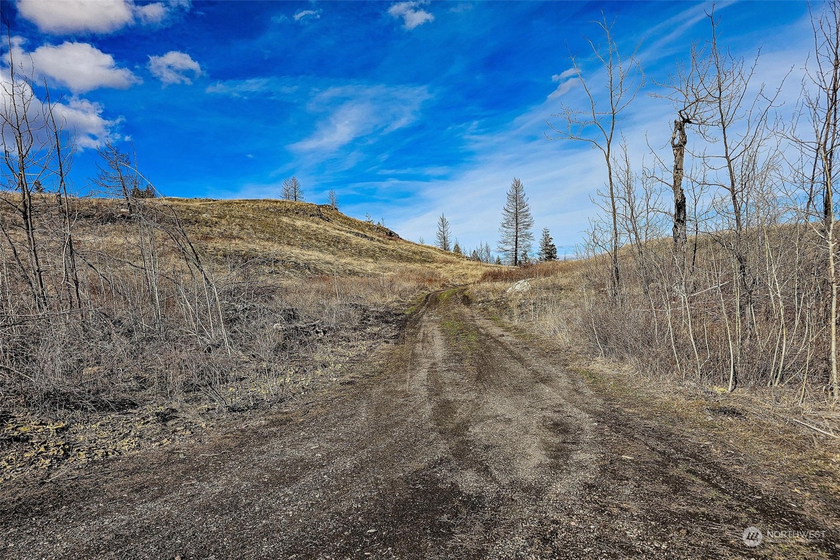 38 Light Road , Oroville, WA 98844