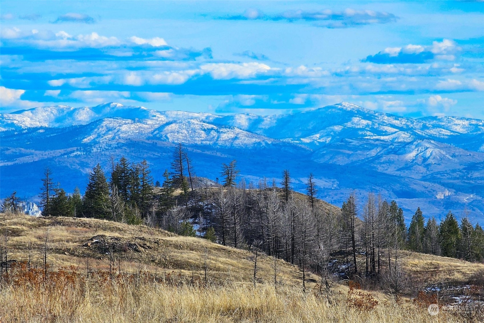 38 Light Road , Oroville, WA 98844