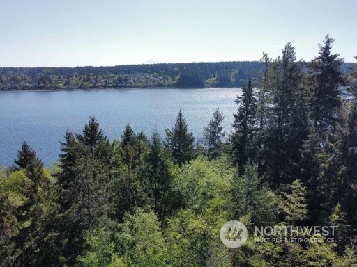 0 Morris Boulevard , Steilacoom, WA 98388