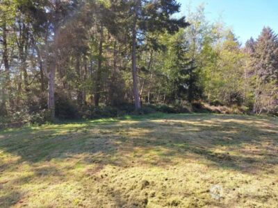 0 Morris Boulevard , Steilacoom, WA 98388 - Photo 13