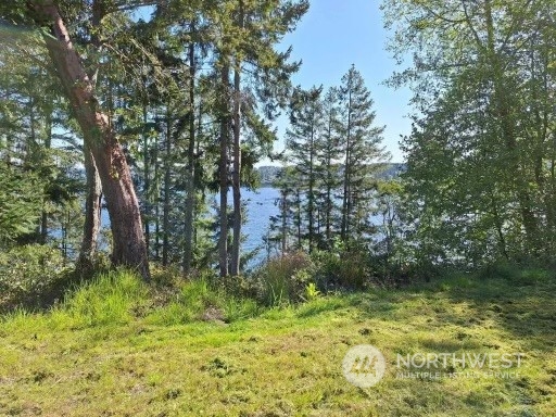 0 Morris Boulevard , Steilacoom, WA 98388