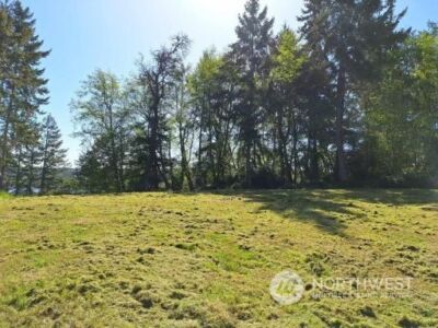 0 Morris Boulevard , Steilacoom, WA 98388 - Photo 15