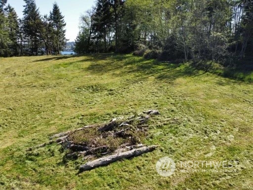 0 Morris Boulevard , Steilacoom, WA 98388