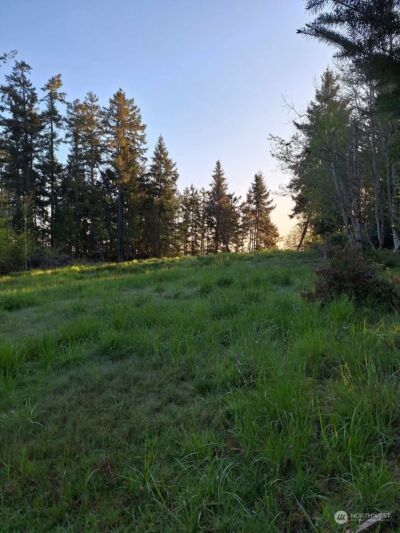 0 Morris Boulevard , Steilacoom, WA 98388 - Photo 22