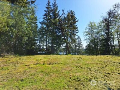 0 Morris Boulevard , Steilacoom, WA 98388 - Photo 23