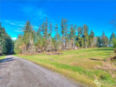 0 Morris Boulevard , Steilacoom, WA 98388 - Photo 26