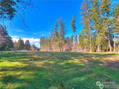 0 Morris Boulevard , Steilacoom, WA 98388 - Photo 27