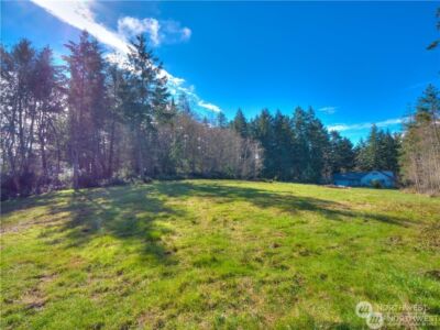 0 Morris Boulevard , Steilacoom, WA 98388 - Photo 28